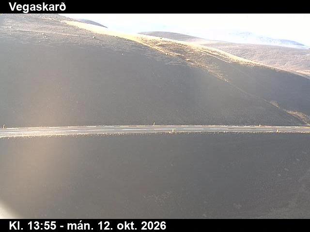 Road camera, road 1, road surface (2), Vegaskard, Northeast