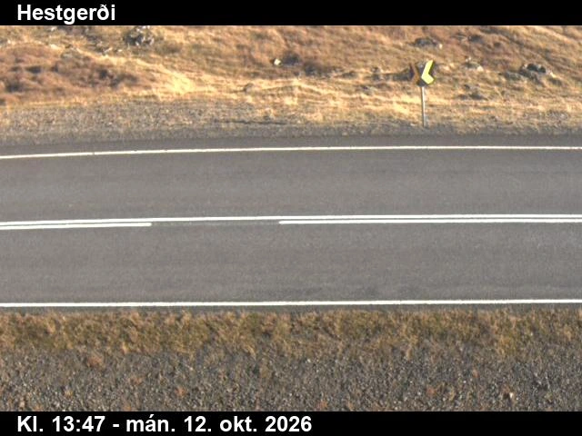 Road camera, road 1, road surface, Hestgerdi, Southeast