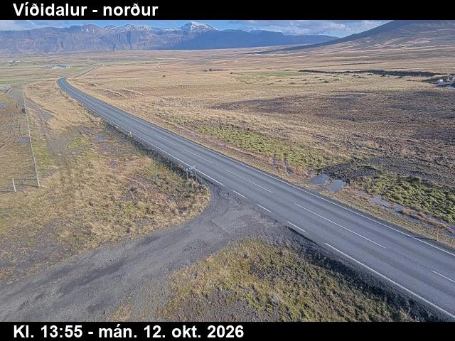 Road camera, road 1, looking north, Vididalur, North
