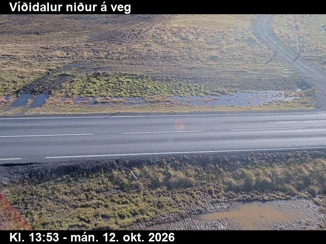 Road camera, road 1, road surface, Vididalur, North