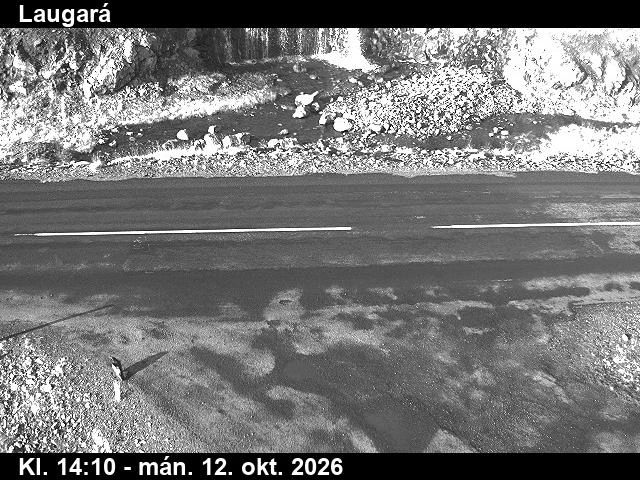 Road camera, road 61, road surface (2), Laugara, Westfjords