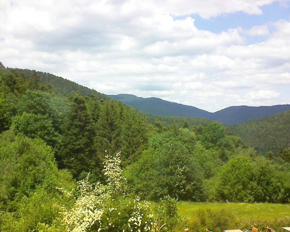 Murbach