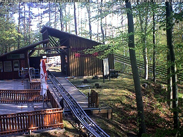 Thale