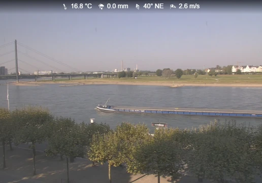 Dusseldorf