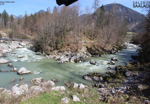 Saalach