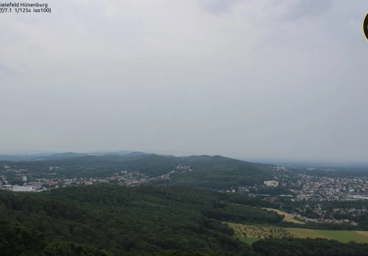 Тойтобургер Вальд