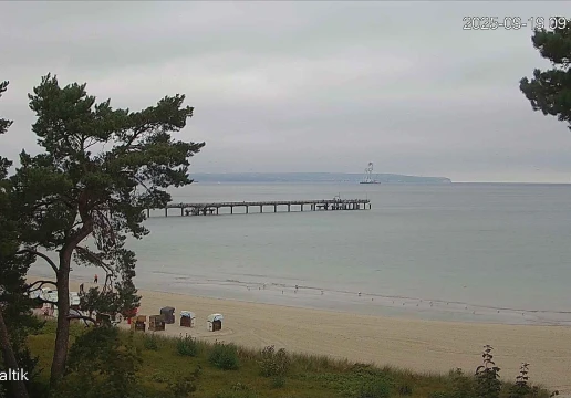 Binz