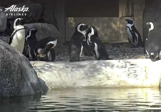 Сан-Дієго, Каліфорнія