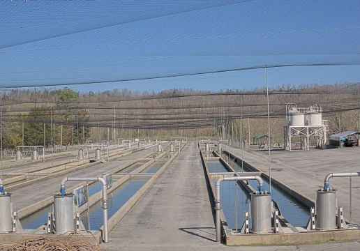 Джеймстаун, Кентуккі