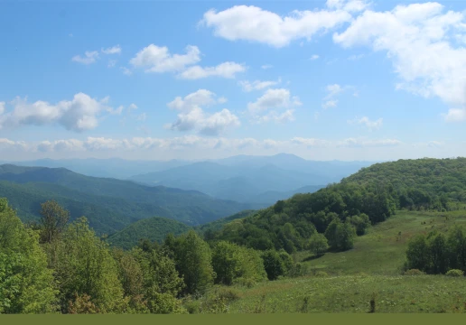 Great Smoky Mountains National Park, Tennessee