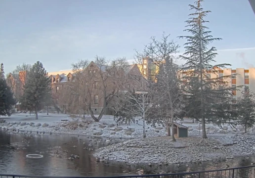 Ріно, Невада