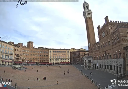 Siena, Siena