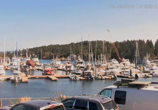 Friday Harbor, Washington