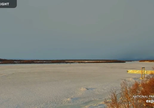 Річка Накнек, Кінг Салмон, Аляска