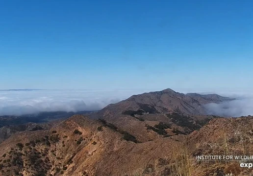 Devils Peak, California