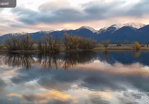 Charlo, Montana