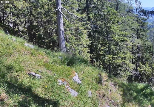 Ramsau bei Berchtesgaden, Bavaria