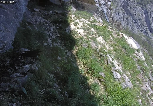 Ramsau bei Berchtesgaden, Bavaria