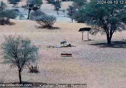 Kalahari Desert, Mariental