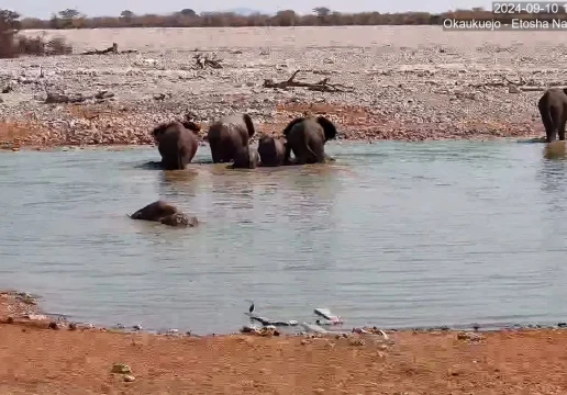 Etosha National Park, Okaukuejo