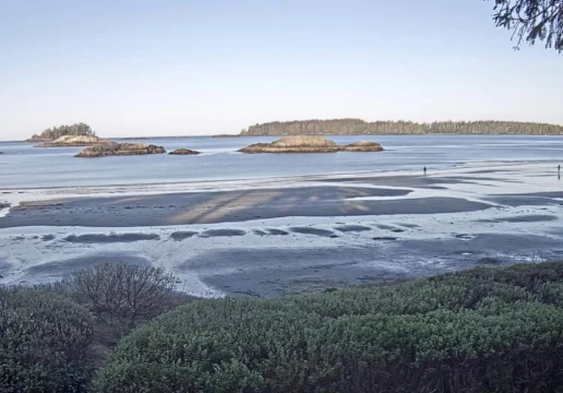 Тофіно, Британська Колумбія