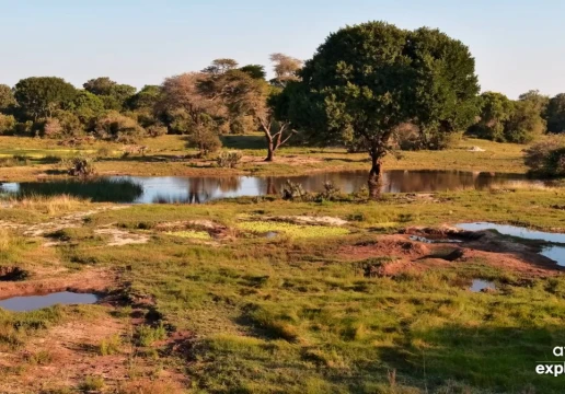 Tembe Elephant Park