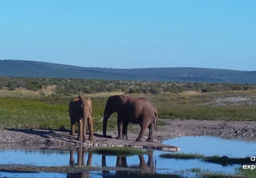 Tembe Elephant Park