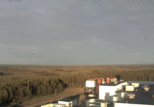 Белуга, Аляска