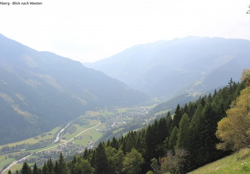 Oberwolliggen