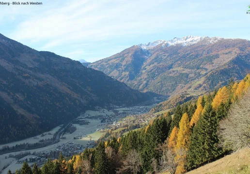 Oberwolliggen