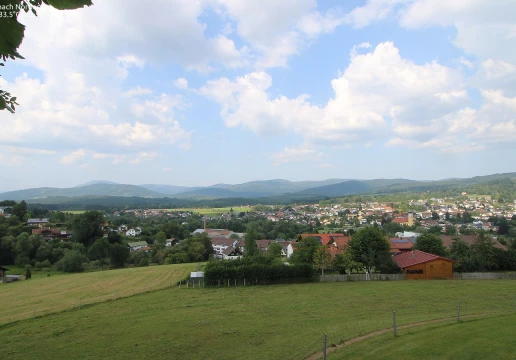 Фрауенау