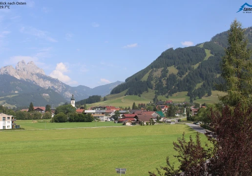 Kienzen