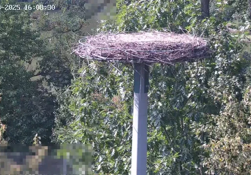 Кляйностгайм