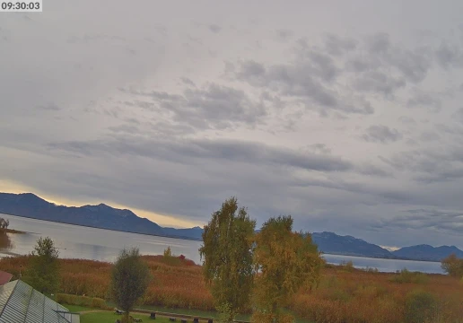 Зеон-Зебрук