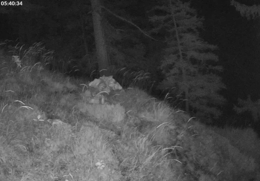 Рамзау-бай-Берхтесгаден