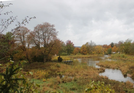 Донауешинген