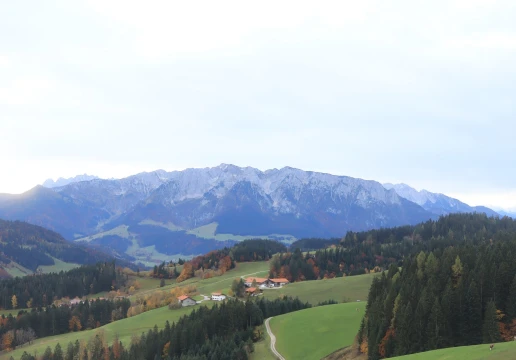 Erl