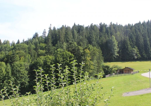 Aschau im Chiemgau
