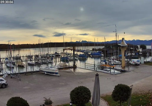 Зеон-Зебрук