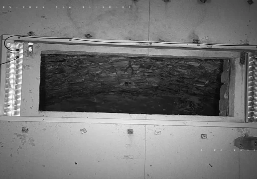 Вайшенфельд