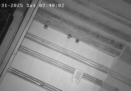 Вайшенфельд