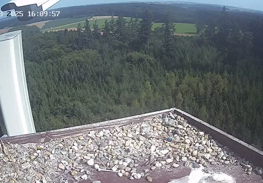 Hohenkammer