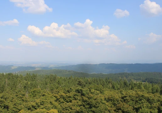 Schönsee