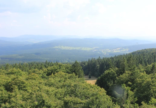 Schönsee