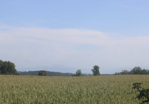 Trostberg