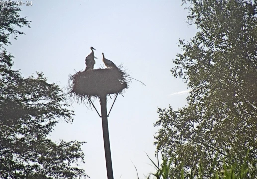 Грабенштетт