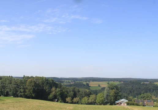 Surberg