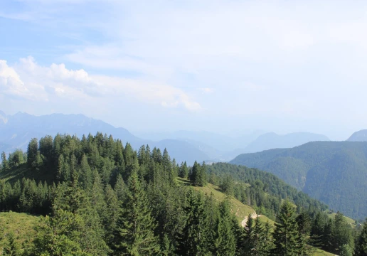 Oberaudorf