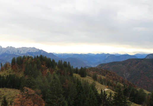 Oberaudorf