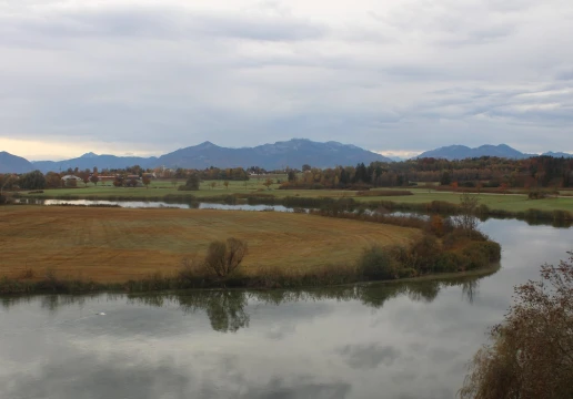 Зеон-Зебрук